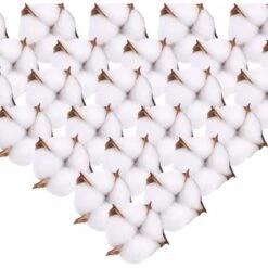 Fleur De Coton Naturelle Tête De Fleurs Séchées Coton Decoration Blanc Ave Tige Courte Pour Hiver Noël DIY Mariage Couronne Artisanat Maison Cadeau Style Ferme 6.5cm Fontainebleau 50Pcs