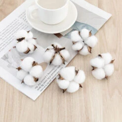 Fleur De Coton Naturelle Tête De Fleurs Séchées Coton Decoration Blanc Ave Tige Courte Pour Hiver Noël DIY Mariage Couronne Artisanat Maison Cadeau Style Ferme 6.5cm Fontainebleau 50Pcs -Lemax Decor Magasin 47421470 3