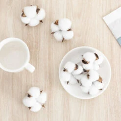 Fleur De Coton Naturelle Tête De Fleurs Séchées Coton Decoration Blanc Ave Tige Courte Pour Hiver Noël DIY Mariage Couronne Artisanat Maison Cadeau Style Ferme 6.5cm Fontainebleau 50Pcs -Lemax Decor Magasin 47421470 4