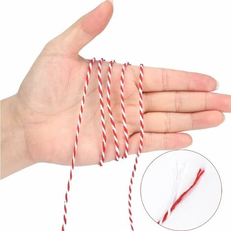 100M Ficelle Rouge Et Blanche Corde De Noël Rouge Ficelle De Noël Rouge Ficelle De Coton Durable Pour La Cuisson, Les Bouchers, Les Bricolages, L'emballage De Cadeaux De Noël HA 4 100M Ficelle Rouge Et Blanche Corde De Noël Rouge Ficelle De Noël Rouge Ficelle De Coton Durable Pour La Cuisson, Les Bouchers, Les Bricolages, L'emballage De Cadeaux De Noël HA – Image 2