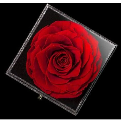 Rose Eternelle Idées Cadeaux Noël Fête Des Mères, Cadeau Anniversaire Saint Valentin Mariage Pour Femme Maman, Anniversaire Cadeaux Romantiques Pour Elle ,Cadeau Femme (Rose Rouge) 4 Rose Eternelle Idées Cadeaux Noël Fête Des Mères, Cadeau Anniversaire Saint Valentin Mariage Pour Femme Maman, Anniversaire Cadeaux Romantiques Pour Elle ,Cadeau Femme (Rose Rouge) – Image 2