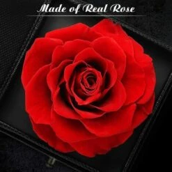 Rose Eternelle Idées Cadeaux Noël Fête Des Mères, Cadeau Anniversaire Saint Valentin Mariage Pour Femme Maman, Anniversaire Cadeaux Romantiques Pour Elle ,Cadeau Femme (Rose Rouge) 9 Rose Eternelle Idées Cadeaux Noël Fête Des Mères, Cadeau Anniversaire Saint Valentin Mariage Pour Femme Maman, Anniversaire Cadeaux Romantiques Pour Elle ,Cadeau Femme (Rose Rouge) -Lemax Decor Magasin 91033910 3
