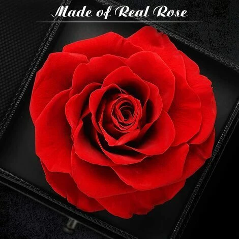 Rose Eternelle Idées Cadeaux Noël Fête Des Mères, Cadeau Anniversaire Saint Valentin Mariage Pour Femme Maman, Anniversaire Cadeaux Romantiques Pour Elle ,Cadeau Femme (Rose Rouge) 5 Rose Eternelle Idées Cadeaux Noël Fête Des Mères, Cadeau Anniversaire Saint Valentin Mariage Pour Femme Maman, Anniversaire Cadeaux Romantiques Pour Elle ,Cadeau Femme (Rose Rouge) – Image 3