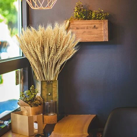 100 Bouquet De Fleurs De Blé Séchées Naturelles Décoration De Mariage Bouquet De Fleurs Séchées Pour Cheminée Table De Cuisine Couronne De Noël 4 100 Bouquet De Fleurs De Blé Séchées Naturelles Décoration De Mariage Bouquet De Fleurs Séchées Pour Cheminée Table De Cuisine Couronne De Noël – Image 2