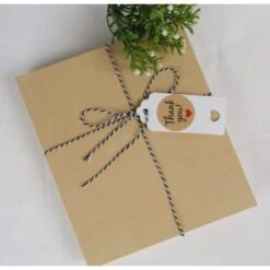 Ficelle De 328 Pieds Parfaite Pour La Pâtisserie, La Boucherie, L'artisanat Et L'emballage De Cadeaux De Noël 9 Ficelle De 328 Pieds Parfaite Pour La Pâtisserie, La Boucherie, L'artisanat Et L'emballage De Cadeaux De Noël -Lemax Decor Magasin 97561479 4