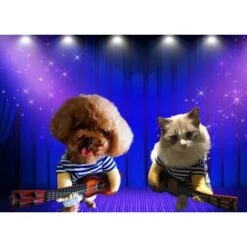 Costume De Guitare Pour Animaux De Compagnie Costumes De Chien Halloween Noël Cosplay Fête Tenue Drôle Vêtements(M) -Lemax Decor Magasin 98429752 3